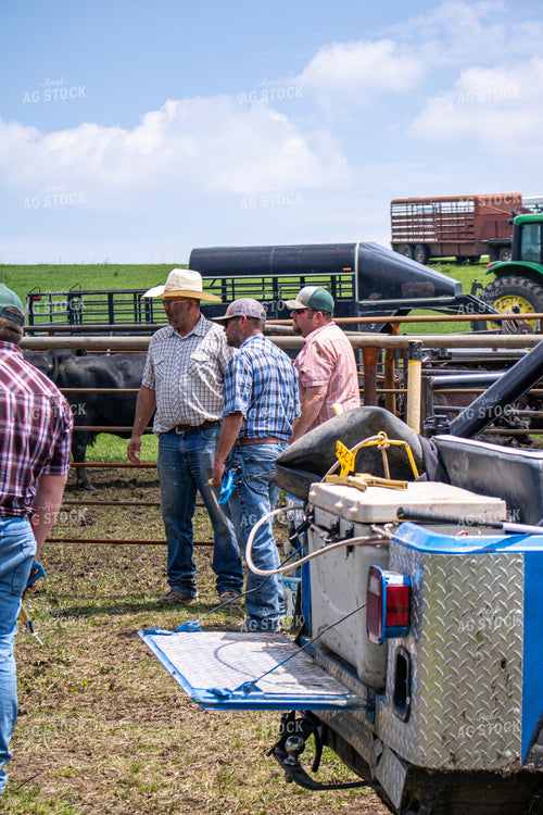 Ranchers Working Cattle 214206