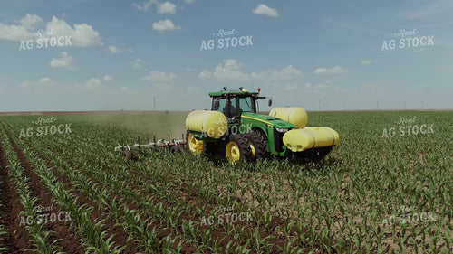Ripping Corn 239314