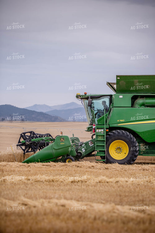 Wheat Harvest 81174