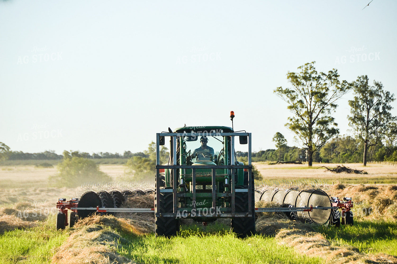 Raking Hay 64010
