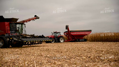Farmer Walking away from Combine