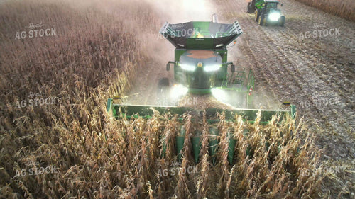 Corn Harvest 65909