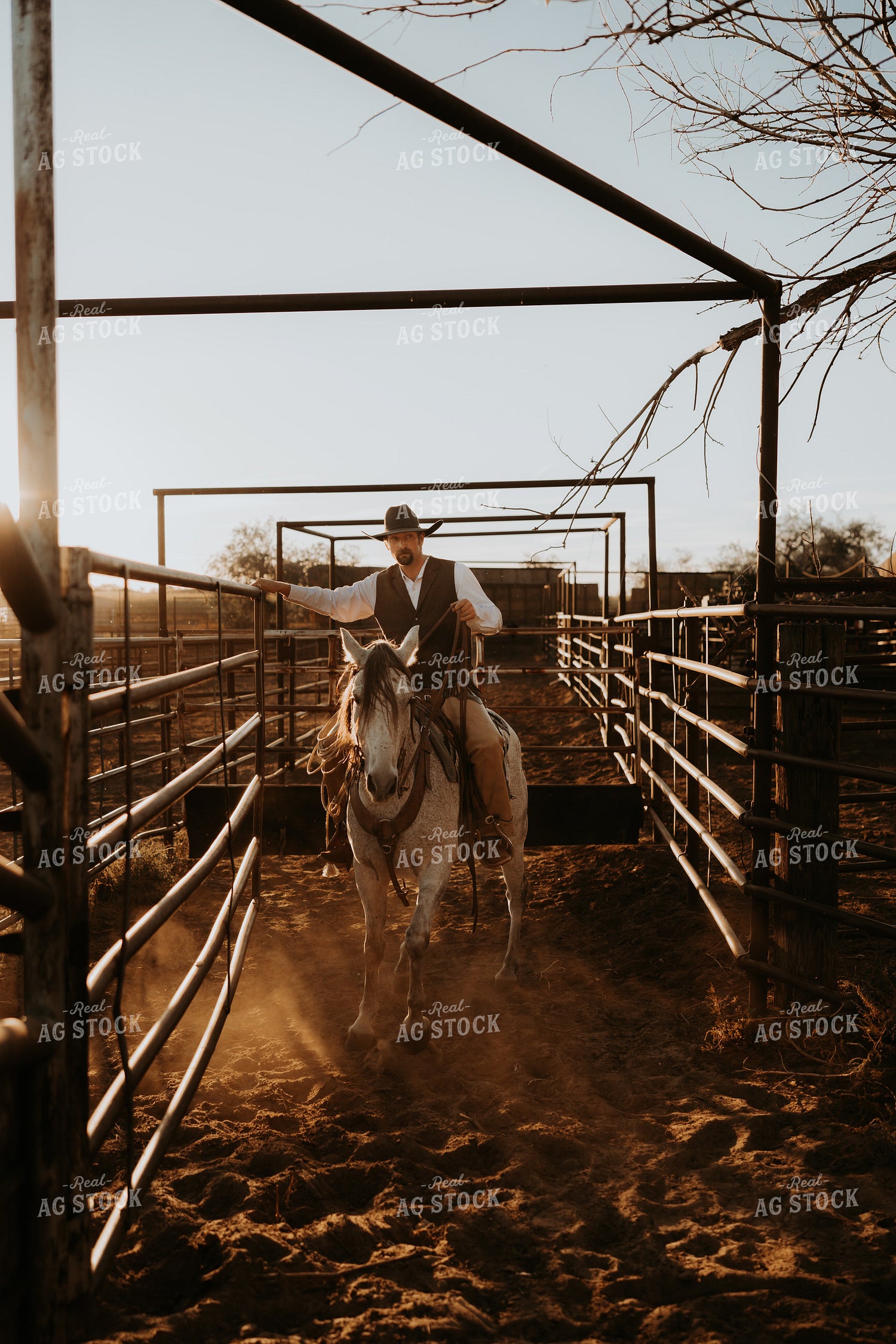 Cowboy on Horseback 61188