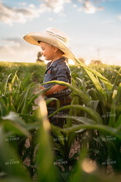 Farm Kid in Corn Field 218043