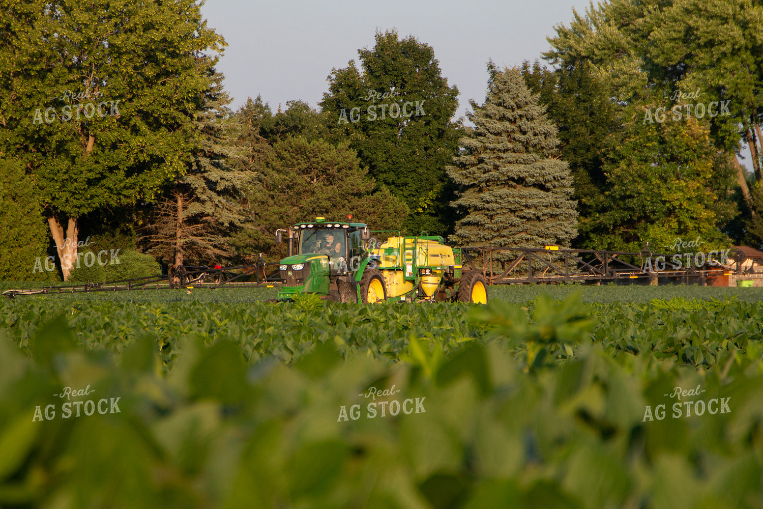 Spraying Soybean Field 157236