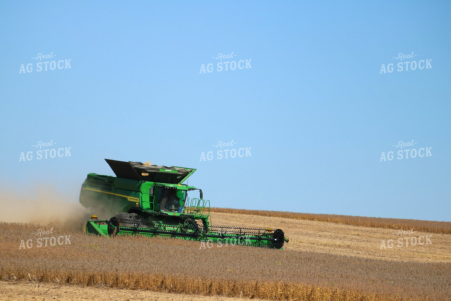 Soybean Harvest 82351