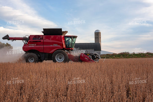 Soybean Harvest 132097