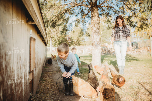 Farm Family Collecting Eggs 6805