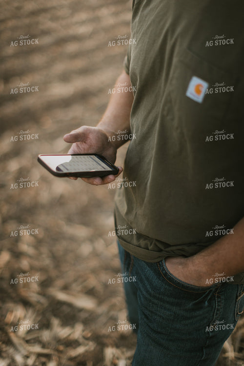 Young Farmer Looks at Phone in Field at Sunset 7731