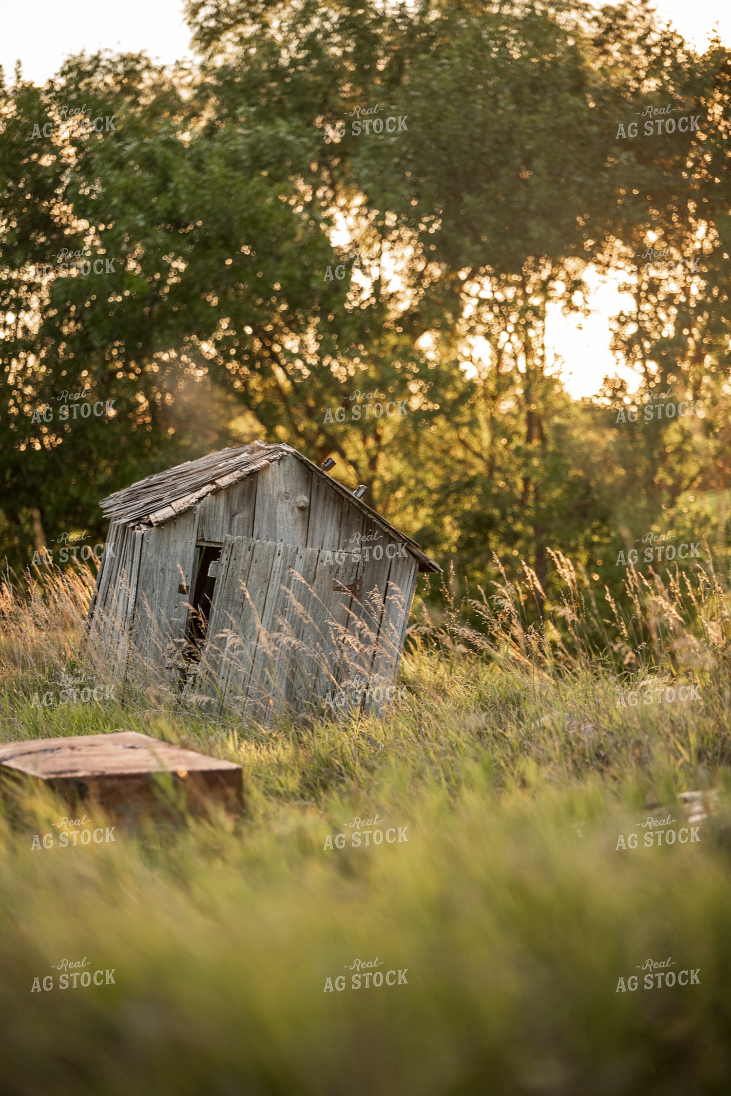 Scenic Pasture 76675