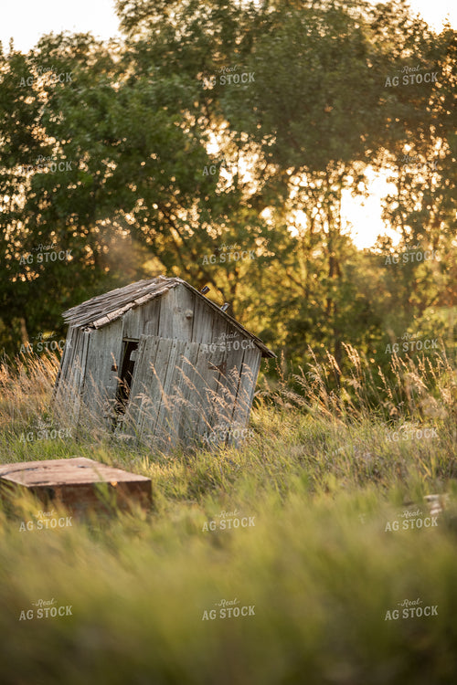 Scenic Pasture 76675
