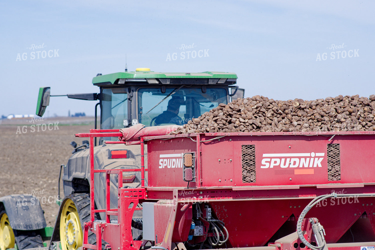 Planting Potatoes 146070