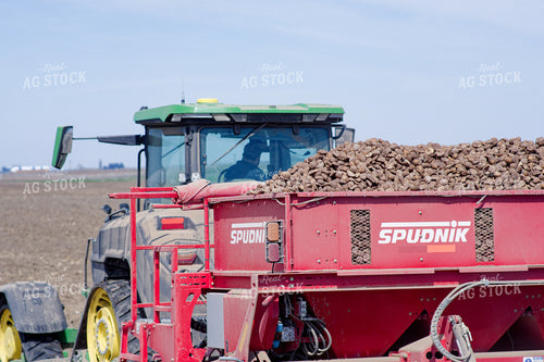 Planting Potatoes 146070