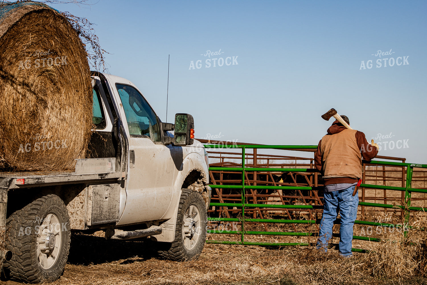 Farmer Opening Cattle Gate 214088