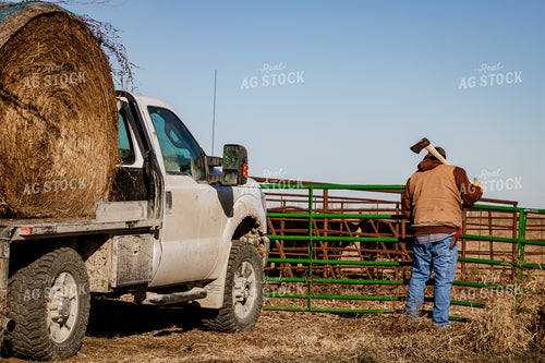Farmer Opening Cattle Gate 214088