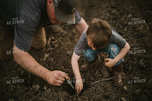 Farmer and Farm Kid Checking Seed Depth 5658