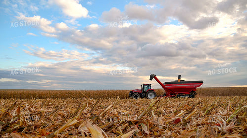 Combine Unloading Corn into Auger Wagon on the Go 25654