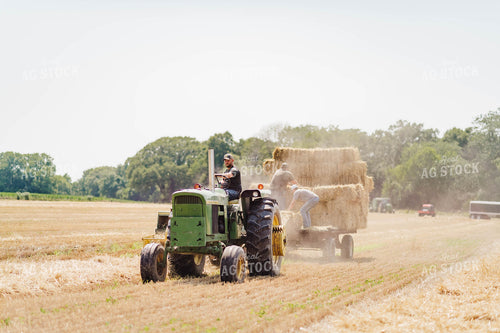 Baling Hay 115004