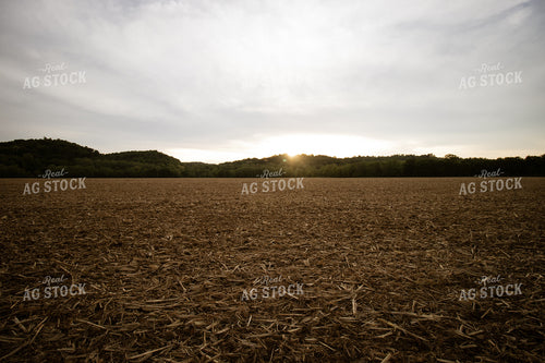 Sunset over Newly Planted Field 52135