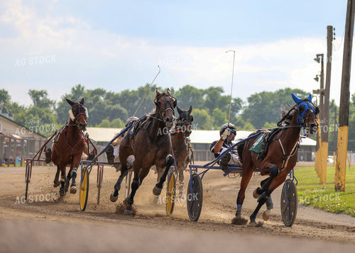 Horse Racing 160259