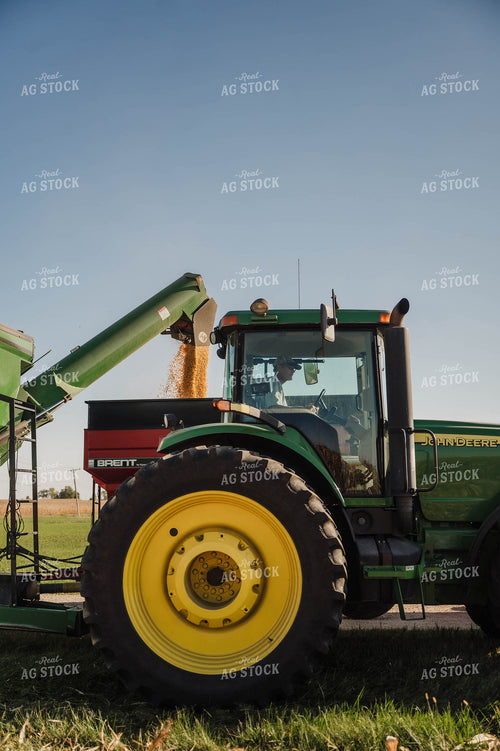 Auger Wagon Unloading Corn into Wagon 115355