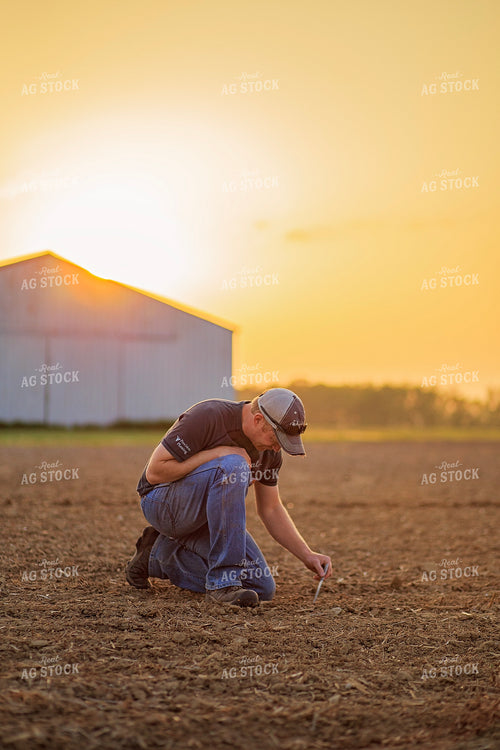 Farmer Checks Seed Depth After Planting 93199