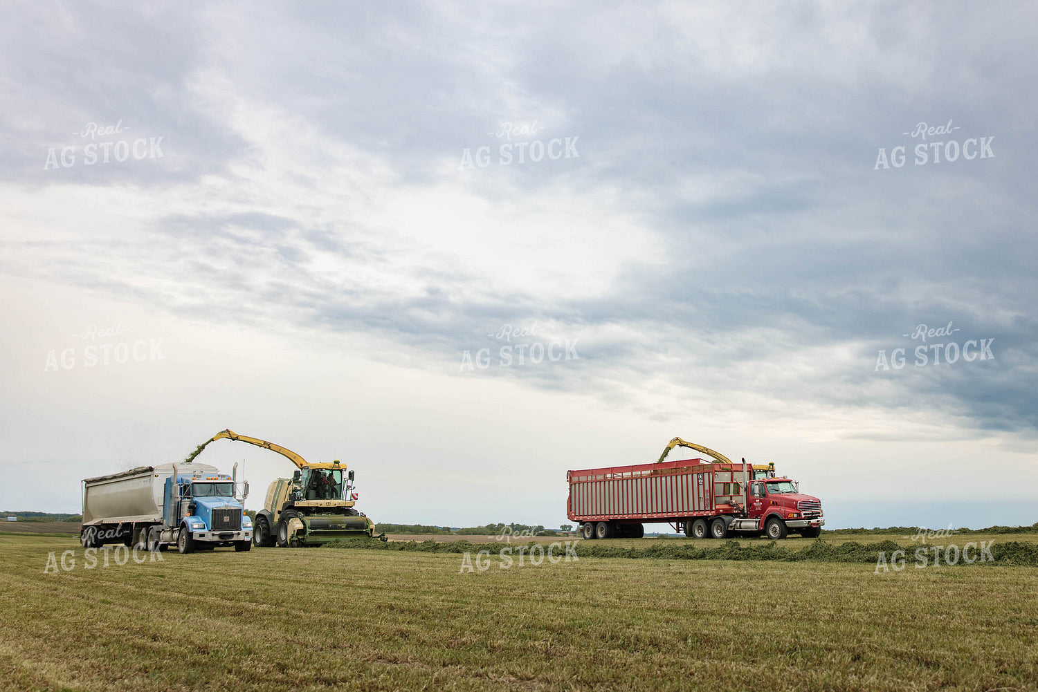 Harvesting Haylage 152797