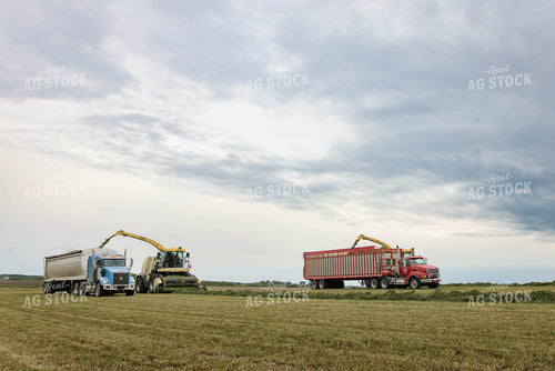 Harvesting Haylage 152797