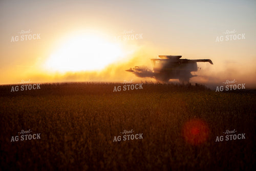 Harvest 1833