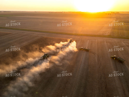 Aerial of Soybean Harvest 115619