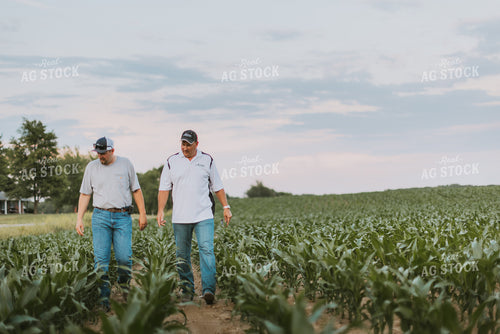 Farmers Scouting Corn Field 7820