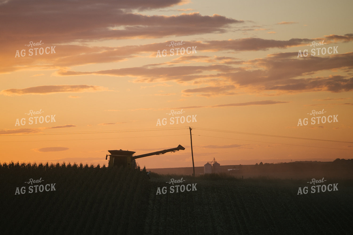 Nebraska Corn Harvest 70008