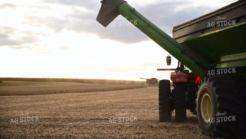 Grain Cart Driving Through Soybean Field - 498