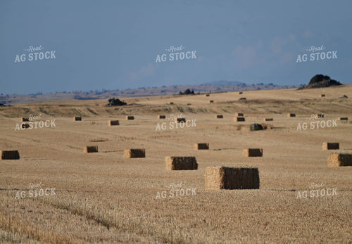Straw Bales 253017