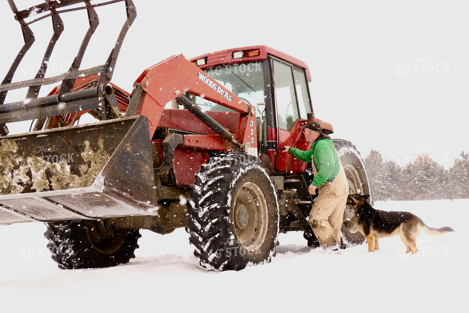 Cattle Producer Climbing in Tractor 299246