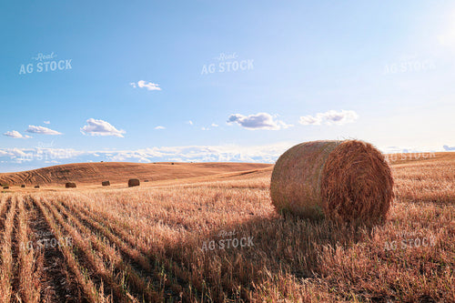 Hay Bales 187000