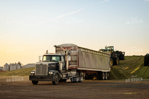 Unloading and Packing Silage 152968