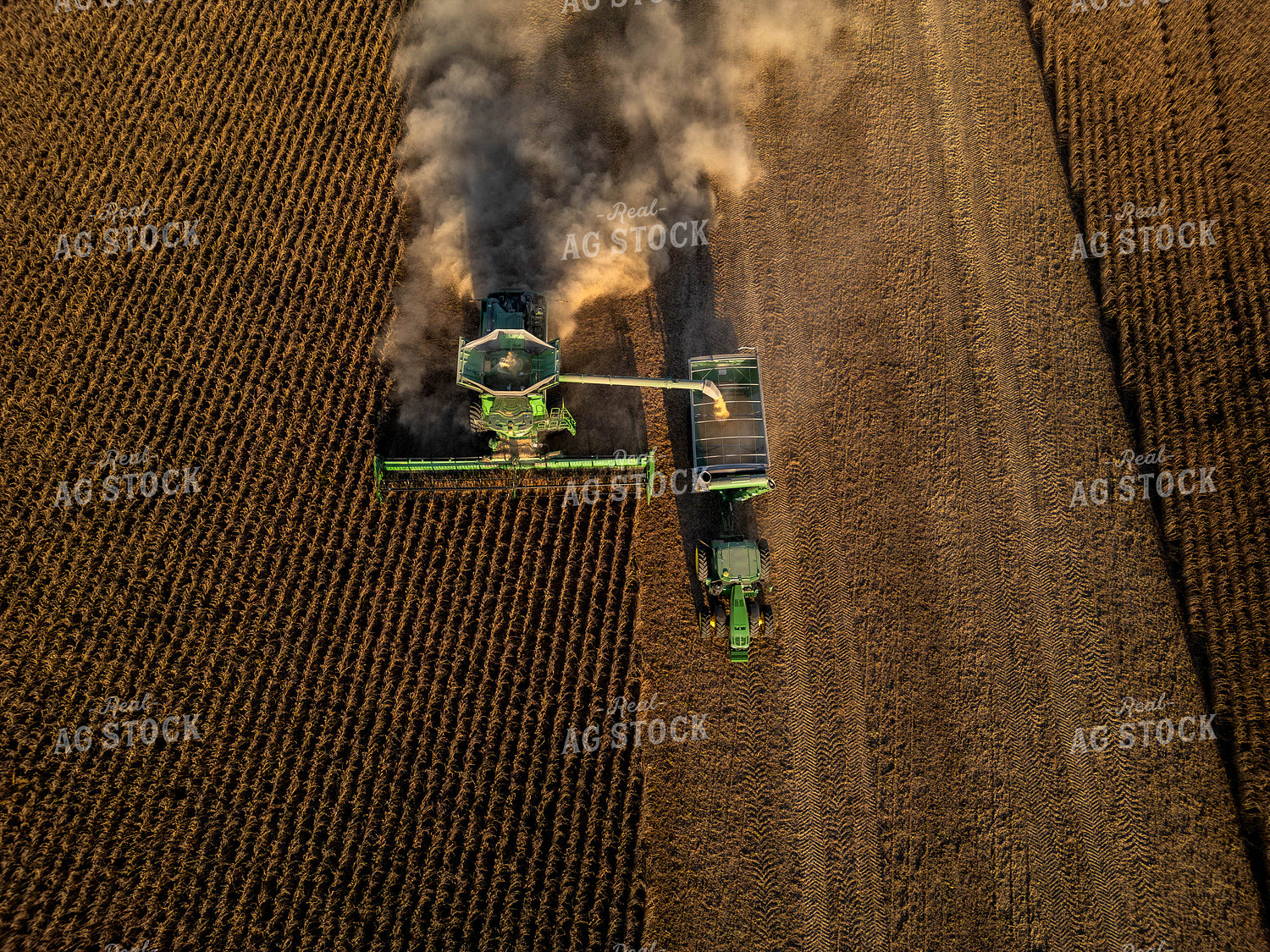 Overhead of Soybean Harvest 115611