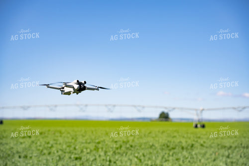 Drone Flying 146064