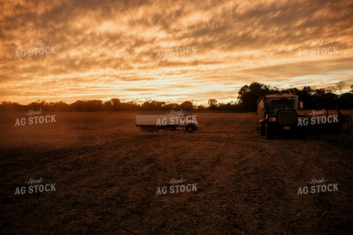 Harvest 2659