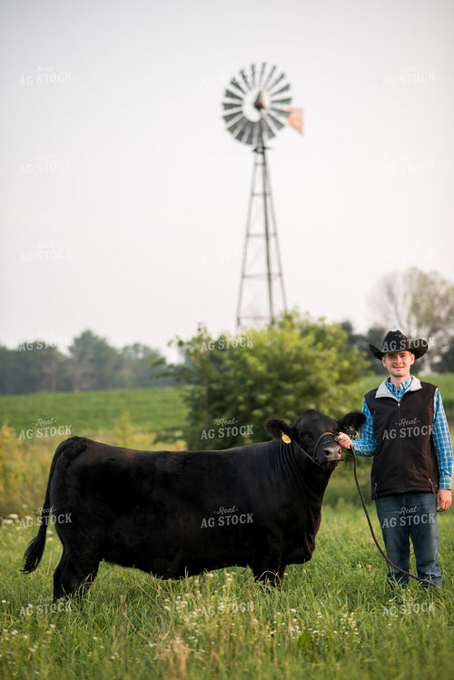 Farm Kid with Show Cow 76733
