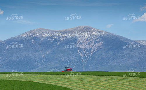 Cutting Hay Field 81037