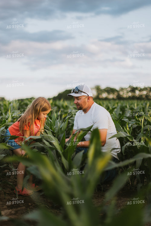 Farmer and Daughter Checking Corn 8806