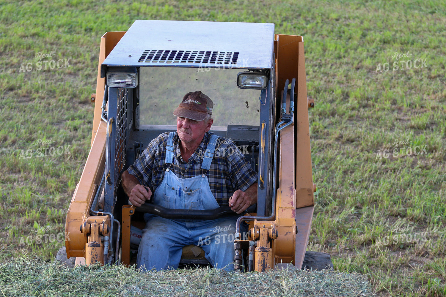 Harvesting Hay 160342