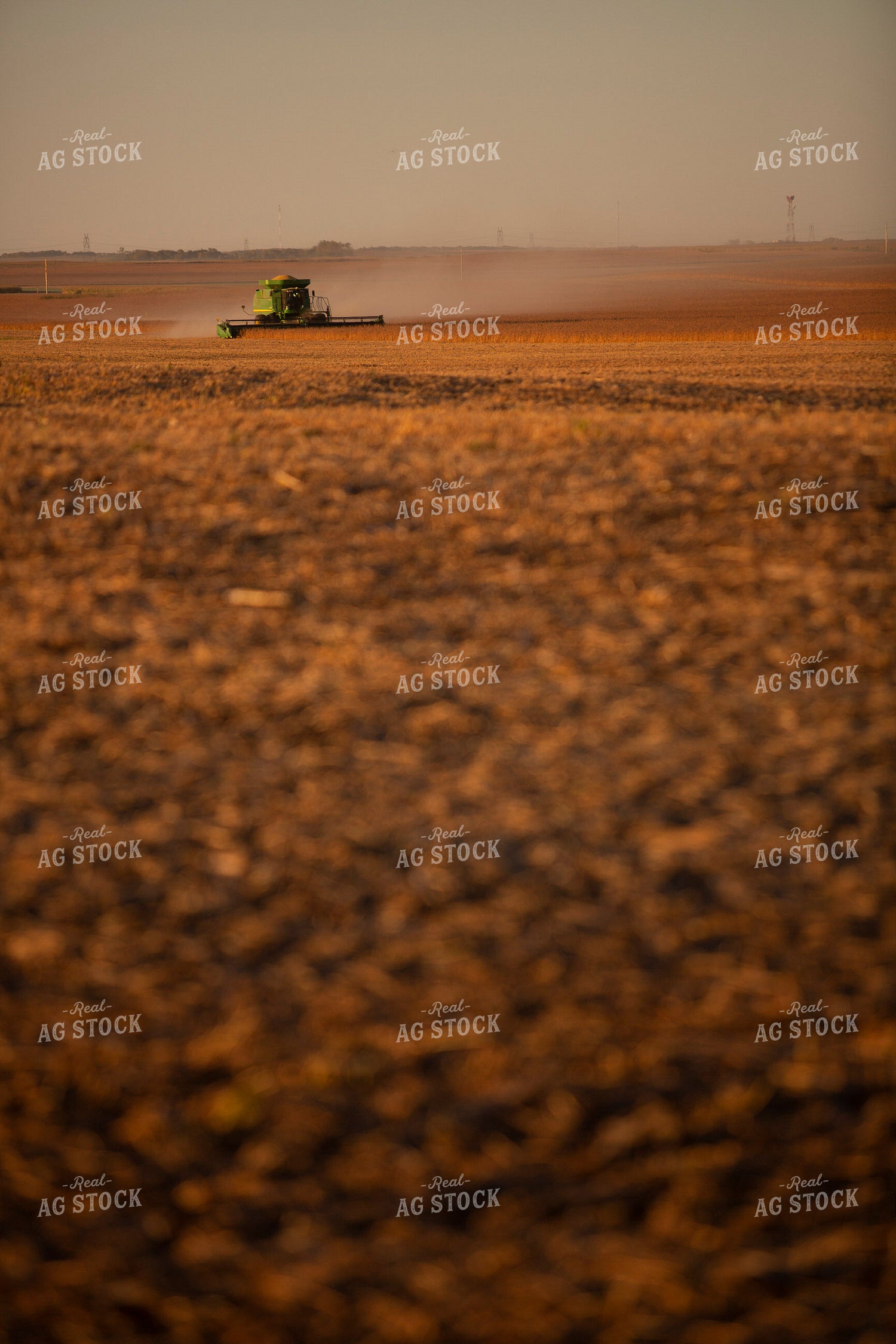 Harvest 1716