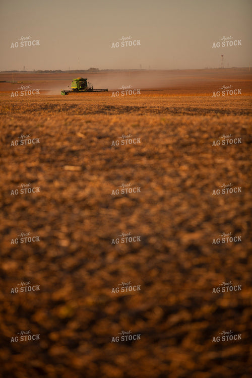 Harvest 1716