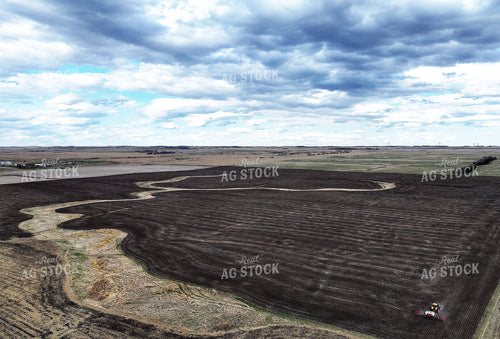 Planting 141254
