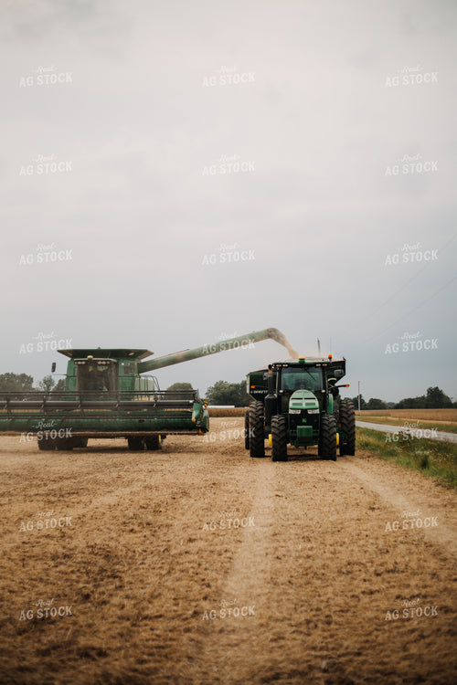 Soybean Harvest 111004