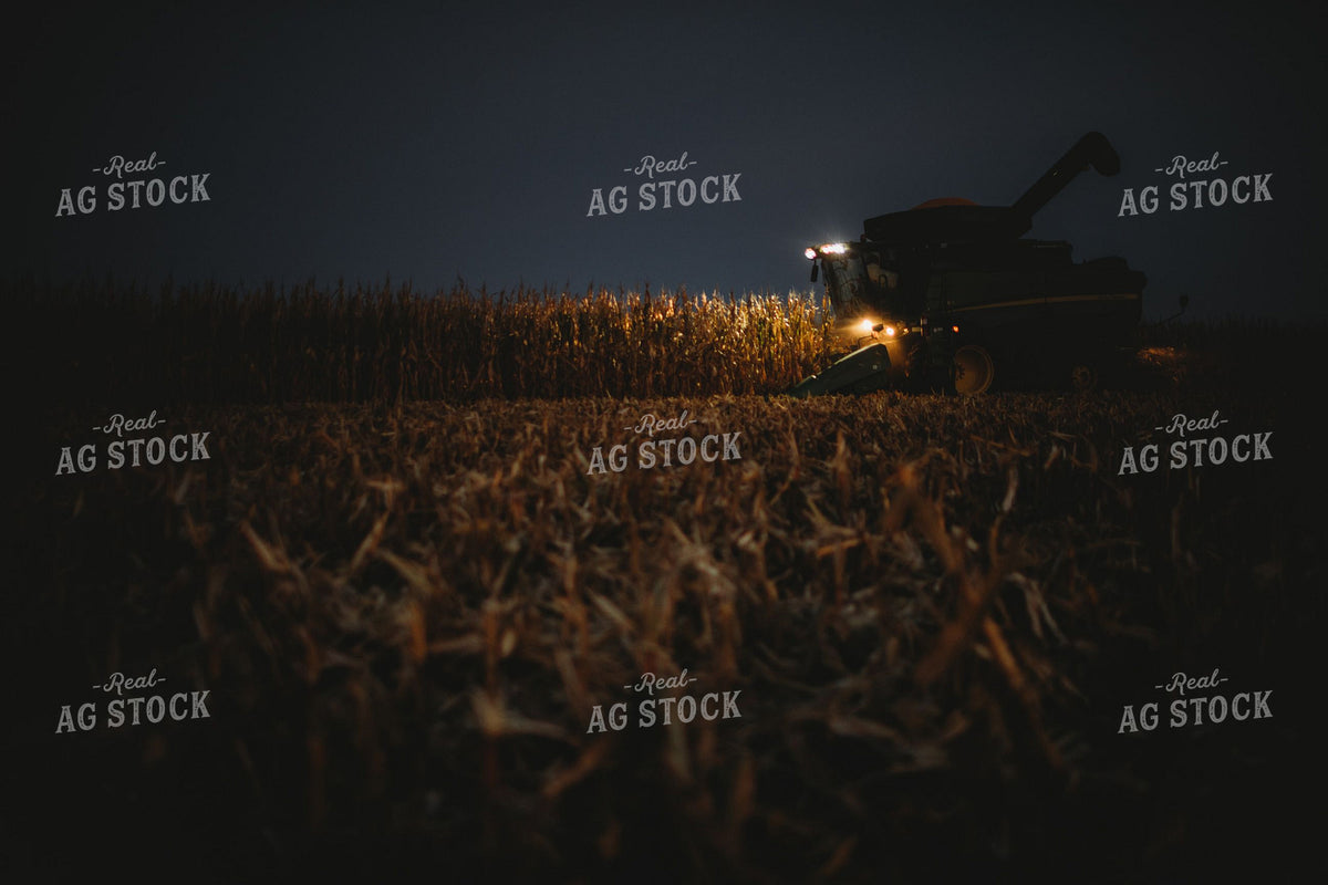 Combine Harvesting Corn at Night 400007