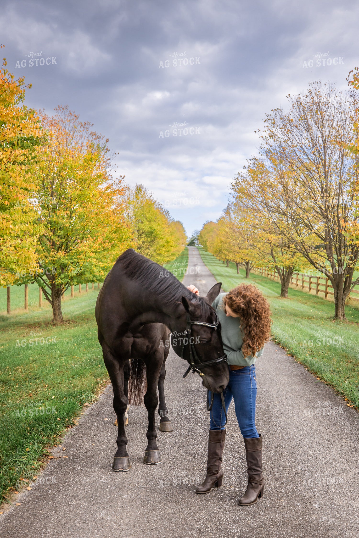 Female Equestrian with Horses 270401